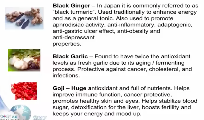 Black Ginger, Black Garlic and Gogi